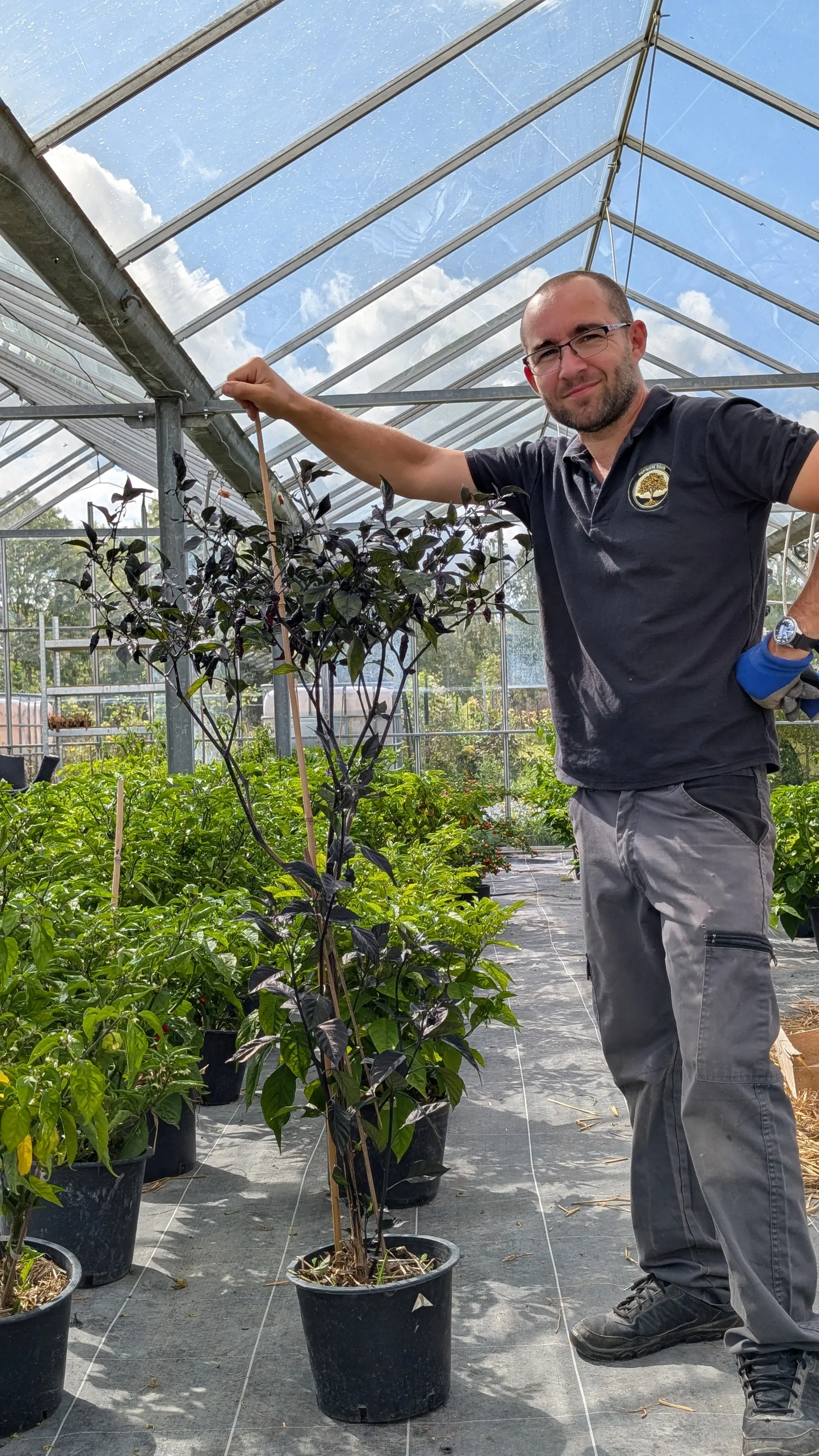Stéphane Bour - Fondateur d'Inferno Peppers